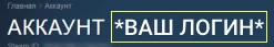 Пример где найти логин в Steam